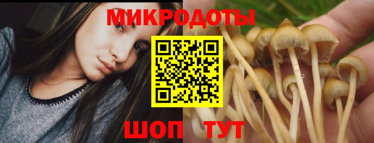 Псилоцибиновые грибы прущие грибы Кирово-Чепецк